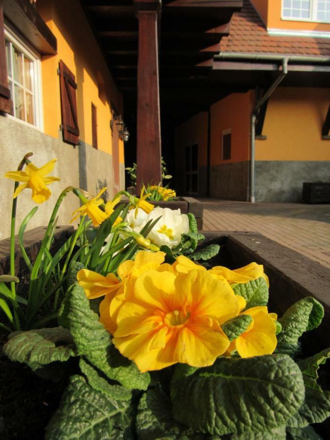 Maison D'Hotes La Ferme Pierre*** Donnenheim Esterno foto
